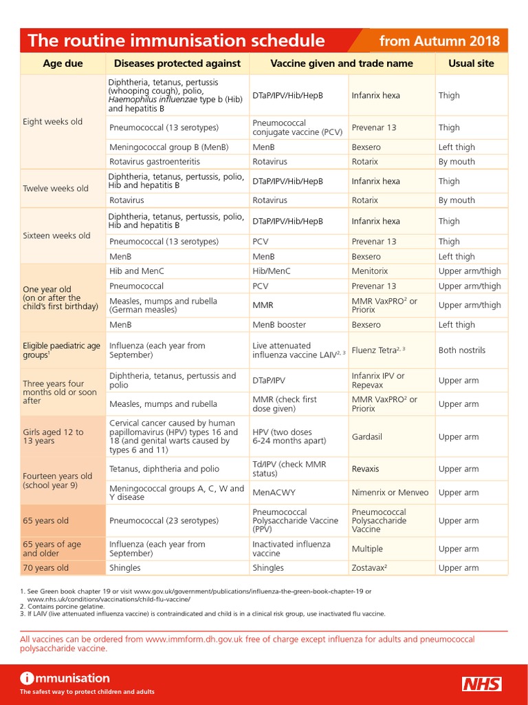 The Routine Immunisation Schedule: From Autumn 2018 | PDF | Vaccines ...