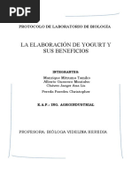 Download Proyecto Yogurt by Ana Chavez Jaeger SN56256476 doc pdf
