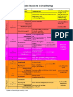 Muscles Involved in Swallowing: Function