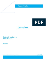 Jamaica Country Profile Highlights Maternal and Child Health Statistics