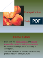 Embryo Culture and Rescue Techniques