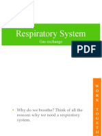 Respiratory System