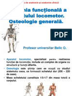 Anatomia Funcțională A Ap. Locomotor 2