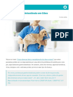 Doenças Gastrointestinais em Cães: Digitalvet