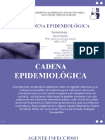 U1-3cadena Epidemiológica