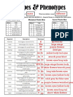 Teacher Ws - Genotypes Phenotypes