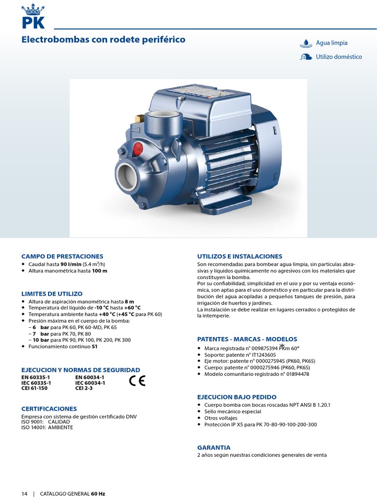 Pompe Électrique Pedrollo PKM 60 0.50Hp V230 - Surface Périphérique Domestique