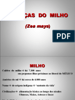 Doenças Da Cultura Do Milho 2021