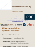 DIU Myologie 2015. Anat de La Fibre Musculaire 2.G. Bonne