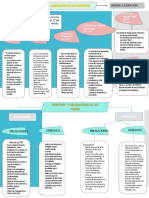 Mapa Conceptual