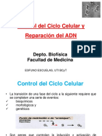 4 Control y Reparación 2019