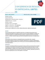 Diplomado en Gerencia de Riesgos y Seguridad Empresarial