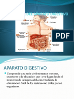 Fisiologia Del Aparato Digestivo Power