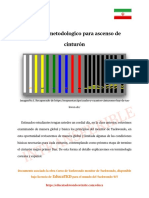 Metodologia Ascenso de Cinturon en TKD