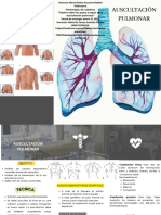 Auscultacion Pulmonar