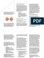 RETINOPATI DIABETIK 2