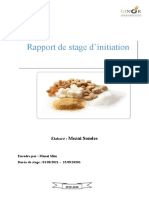 Rapport de Stage Chimie Indus