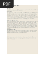 Math Sba Sample 1 | PDF | Chart | Track And Field