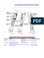 Forearms Exercises