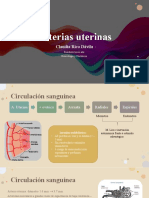 CR Arterias Uterinas