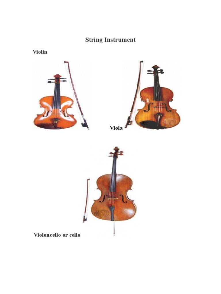 Overview of Musical Instruments | PDF