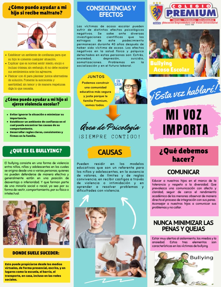 Boletin Informativo Sobre Bullying | PDF | Violencia | Conceptos