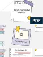 Sistem Reproduksi Manusia