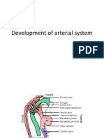 Development of Arterial System