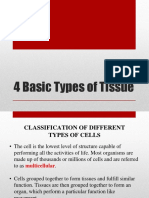 4 Basic Types of Tissue: Epithelial, Connective, Muscle, and Nervous