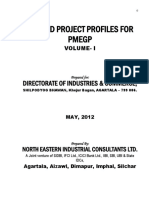 Project Report PMEGP