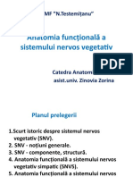 Anatomia Funcțională A SNV