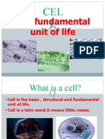 The Fundamental Unit of Life: CEL L
