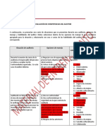 Evaluacion Competencias de Auditor