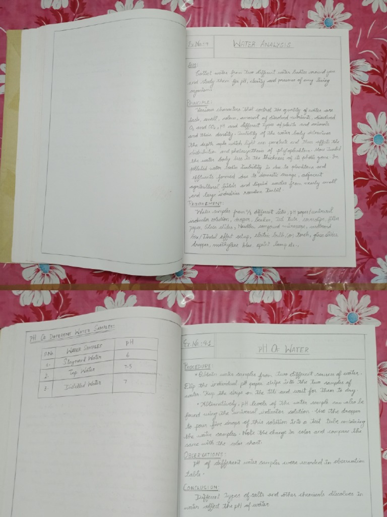 Biology Record Note Term 2 PDF