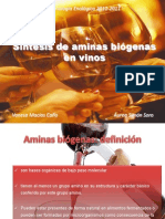 aminAS BIOGENAS EN VINO - BIOTECNOLOGIA ENOLOGICA