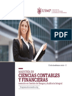 Brochure Ciencias Contables Financieras Gestion Riesgos Auditoria Integral
