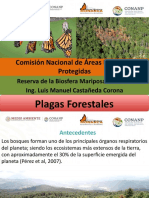 Plagas Forestales LMC