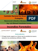 Incendios Forestales LMC