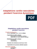 Adaptationcardiovasculaireexercice DR VANDEWALLE