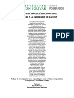 Factores Exposición Ocupacional Asociados Incidencia Cáncer Resumen