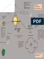 Mapa Mental PML