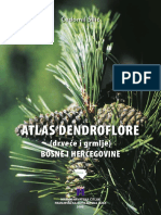 Atlas Dendroflore BiH