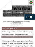 Rinitis Alergi