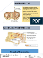 Kompleks osteomeatal penting untuk sinus paranasal