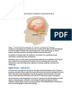 Brain: Figure 1. The Brain Has Three Main Parts: The Cerebrum, Cerebellum and Brainstem