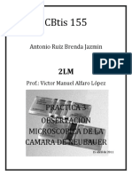 Practica 3 Observacion de La Camara de Neubauer.