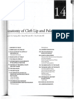 Losee and Kirchner Ch 14 - Anatomy of Cleft Lip and Palate