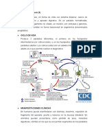 Informe 7 Parte 6