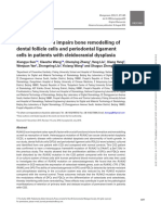 RUNX2 Mutation Impairs Bone Remodelling of