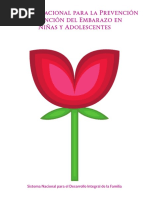 Modelo Nacional Prevencion Embarazo Niñas Adolescentes | PDF ...